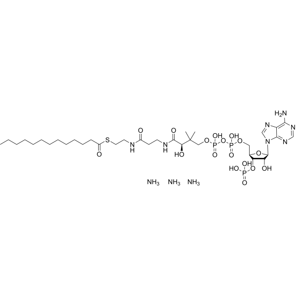 Tridecanoyl-CoA triammonium 1246304-38-0